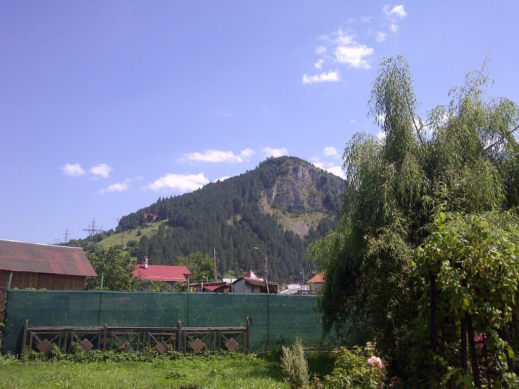 Pensiune Maria Rucăr Buitenkant foto